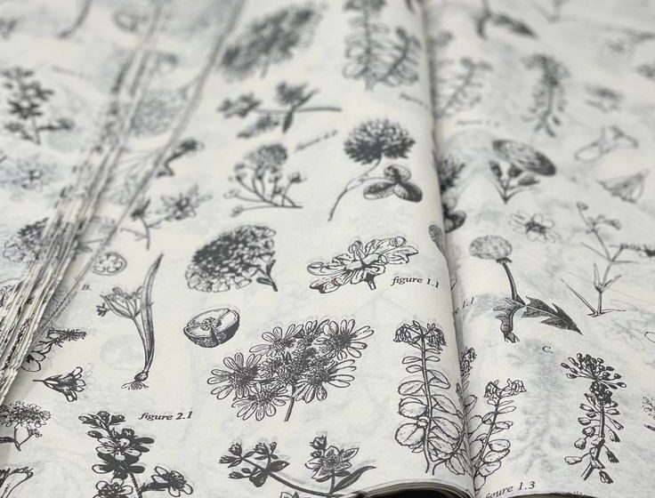 printed tissue paper sheets