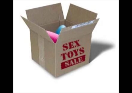 sex toy storage boxes