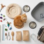 cat supplies