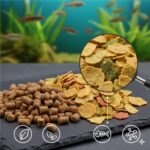 freshwater fish food