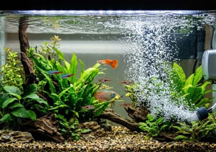 fish Aquarium pump