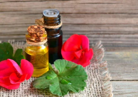 Which Website Is Best to Buy Geranium Oil Online?