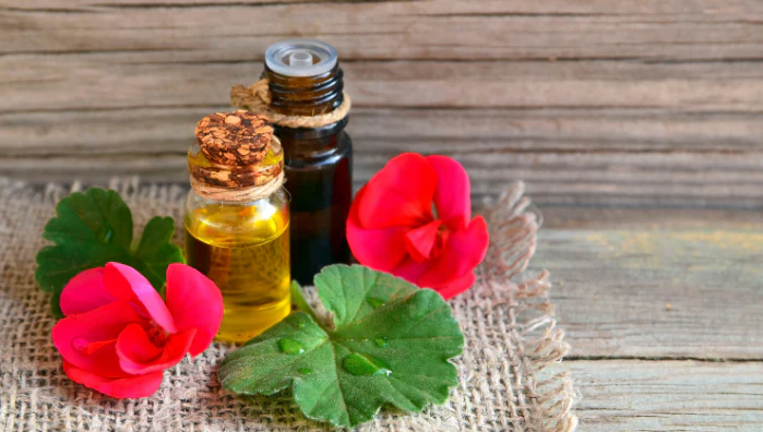 Which Website Is Best to Buy Geranium Oil Online?