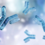 Immunogenicity Testing Assays Used in Biopharmaceutical Studies