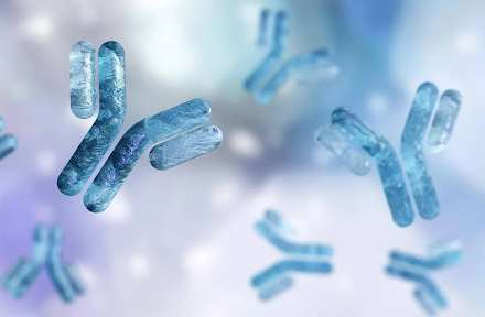 Immunogenicity Testing Assays Used in Biopharmaceutical Studies