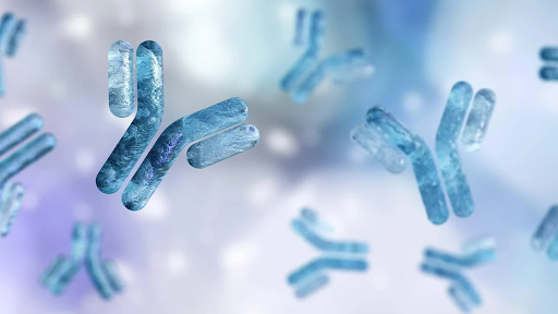 Immunogenicity Testing Assays Used in Biopharmaceutical Studies