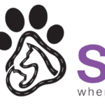 pet care services dubai