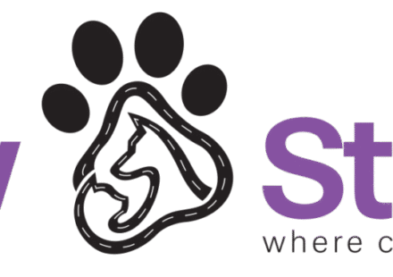 pet care services dubai