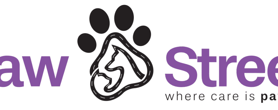 pet care services dubai