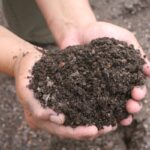 Soil Suppliers