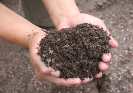 Soil Suppliers