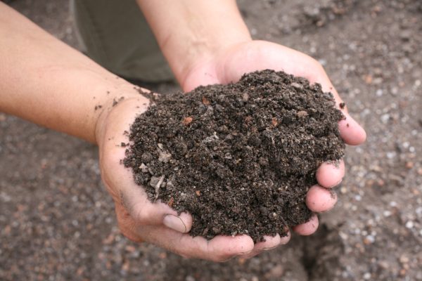 Soil Suppliers
