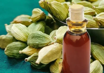 BioMasdar Cardamom Essential Oil – Rich Aroma for Beverages, Food & Fragrance Industry