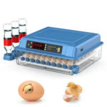 ’élevage moderne pour couveuse automatique