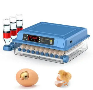 ’élevage moderne pour couveuse automatique