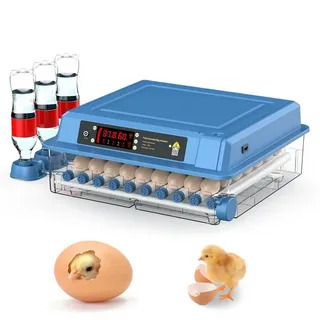 ’élevage moderne pour couveuse automatique