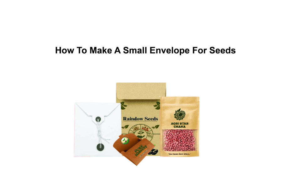 seed envelopes wholesale
