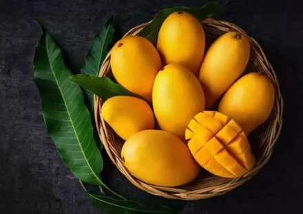 Best Pakistani Mangoes Online
