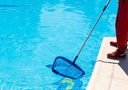Creating a Bee-Free Poolside Experience Without Chemicals