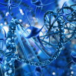 best drug eluting stent