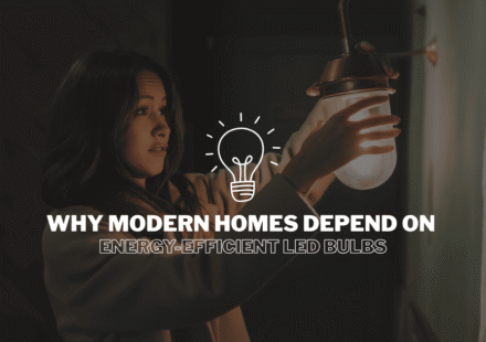 Energy-Efficient LED Bulbs