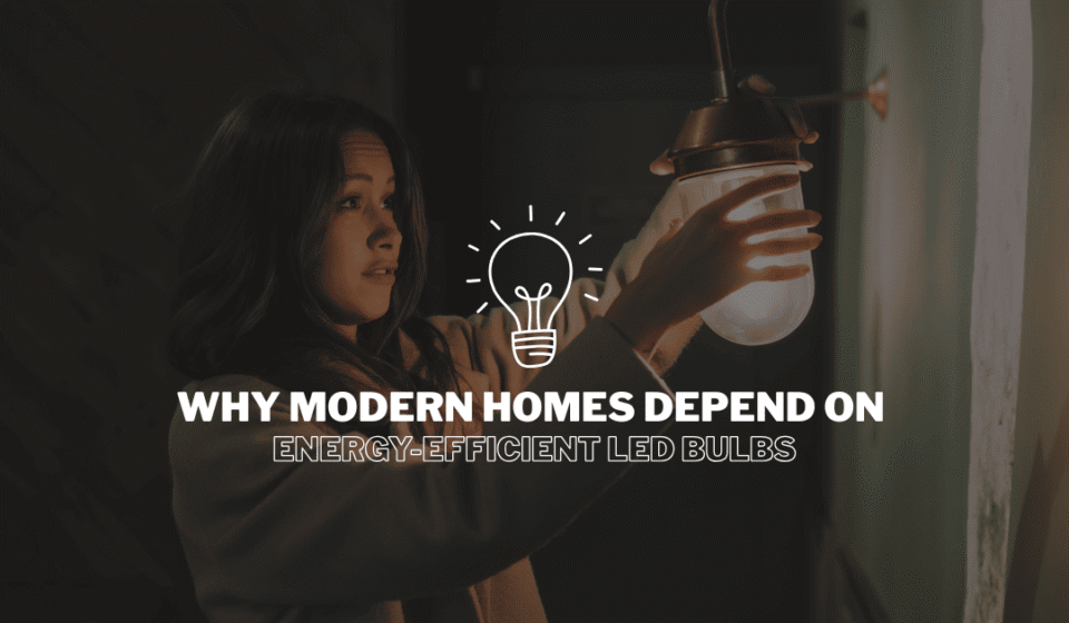 Energy-Efficient LED Bulbs