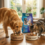 Say Goodbye to Digestive Issues & Low Energy in Pets