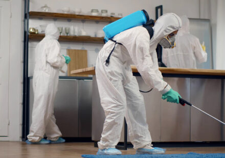 biological control of pests