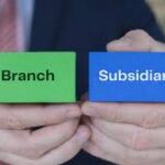 Branch vs Subsidiary in Sharjah: Consultant's Guide