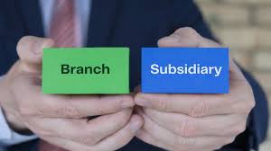 Branch vs Subsidiary in Sharjah: Consultant's Guide