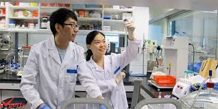 handle the language barrier while studying for an MBBS in China