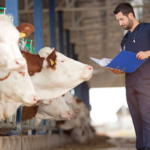 Veterinary PCD franchise in Meghalaya