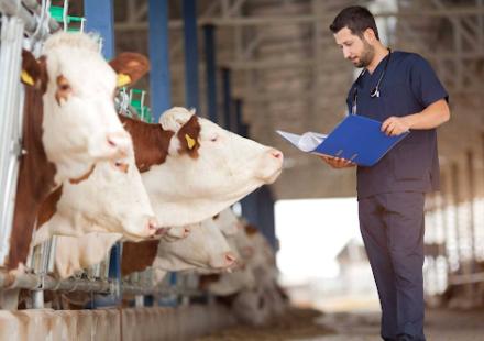 Veterinary PCD franchise in Meghalaya