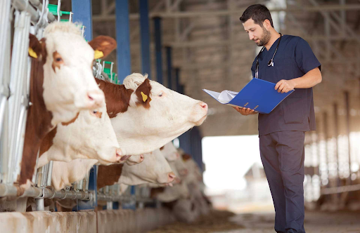 Veterinary PCD franchise in Meghalaya