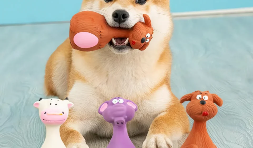 pet toys​