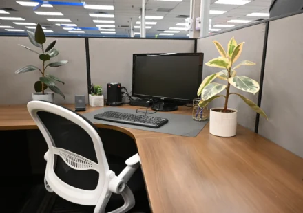 Grow Your Business with Virtual Office Space