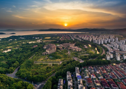 Growing Communities to Valuable Assets