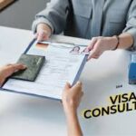 Professional Visa Guidance