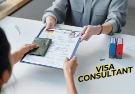 Professional Visa Guidance