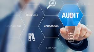 Annual Operations Audit