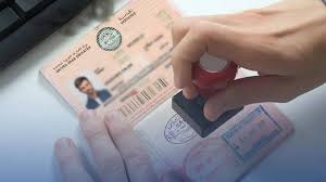 UAE Freelance Permit for Solo Entrepreneurs