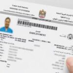 Maid Visa uae