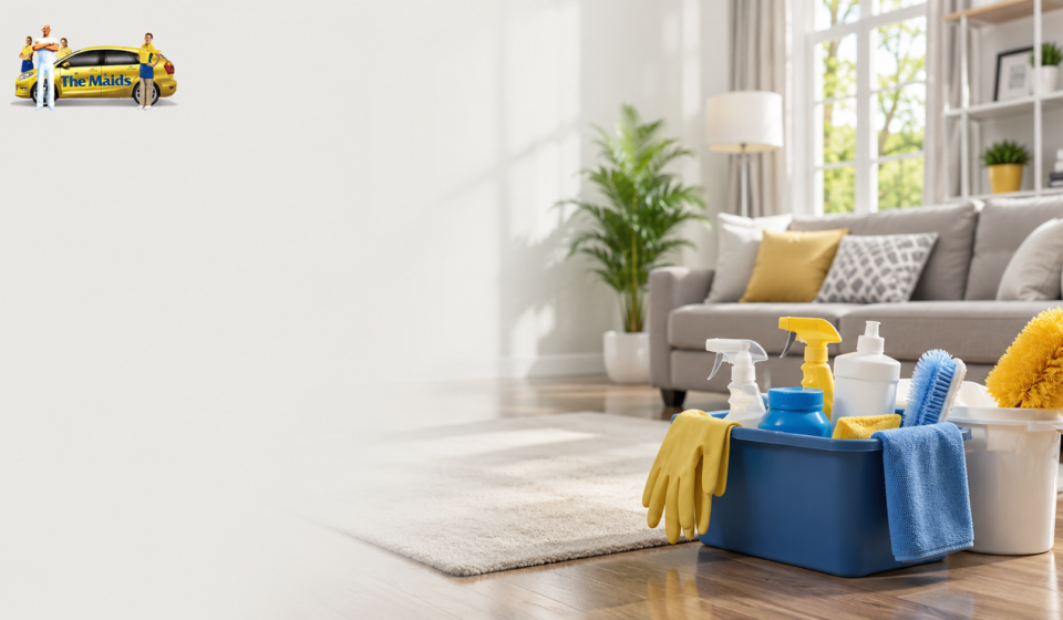 cleaning services in Brookline