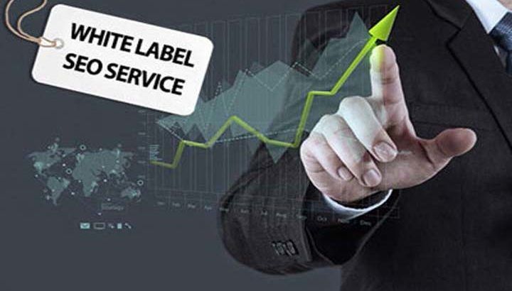 illustrating white label SEO services