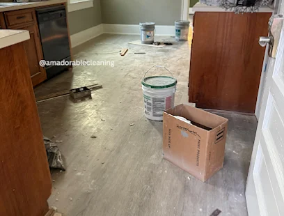 Professional Home Cleaners