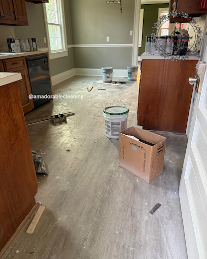 Professional Home Cleaners
