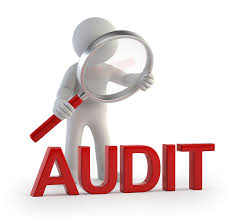 Ajman Free Zone Audit