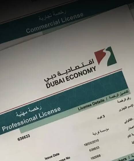 Professional Service License in SRTIP