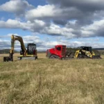 Managing Overgrown Property