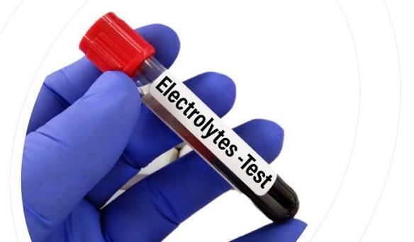 serum electrolytes test price